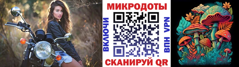 Псилоцибиновые грибы Psilocybe  наркотики  Родники 